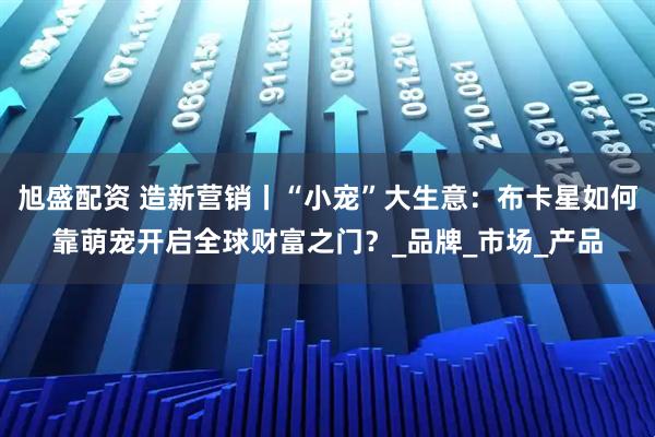 旭盛配资 造新营销丨“小宠”大生意：布卡星如何靠萌宠开启全球财富之门？_品牌_市场_产品