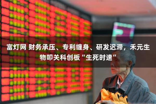 富灯网 财务承压、专利缠身、研发迟滞，禾元生物叩关科创板“生死时速”