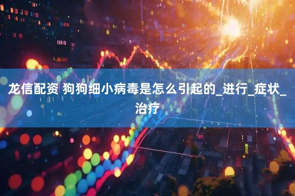 龙信配资 狗狗细小病毒是怎么引起的_进行_症状_治疗