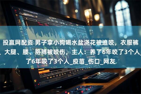 投赢网配资 男子拿小狗喝水盆浇花被追咬，衣服裤子都破了，屁股、大腿、腰、胳膊被咬伤，主人：养了6年咬了3个人_疫苗_伤口_网友
