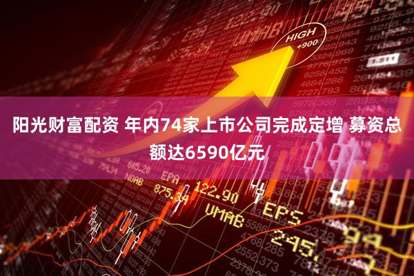阳光财富配资 年内74家上市公司完成定增 募资总额达6590亿元